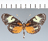  ( - CFC06269)  @11 [ ] copyright (2022) Center For Collection-Based Research Center For Collection-Based Research