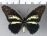  ( - CFC06447)  @11 [ ] Copyright (2018) Christer Fahraeus Center For Collection-Based Research