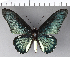  ( - CFC06494)  @11 [ ] Copyright (2018) Christer Fahraeus Center For Collection-Based Research