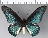  ( - CFC06499)  @11 [ ] Copyright (2018) Christer Fahraeus Center For Collection-Based Research