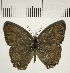  ( - CFC06799)  @11 [ ] Copyright (2018) Christer Fahraeus Center For Collection-Based Research