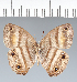  ( - CFC06809)  @11 [ ] copyright (2022) Center For Collection-Based Research Center For Collection-Based Research