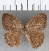  ( - CFC06812)  @11 [ ] copyright (2020) Christer Fahraeus Center For Collection-Based Research