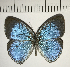  ( - CFC06819)  @14 [ ] Copyright (2018) Christer Fahraeus Center For Collection-Based Research