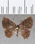  ( - CFC06832)  @11 [ ] copyright (2020) Christer Fahraeus Center For Collection-Based Research