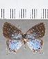 ( - CFC06834)  @11 [ ] copyright (2020) Christer Fahraeus Center For Collection-Based Research