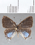  ( - CFC06938)  @11 [ ] Copyright (2019) Christer Fahraeus Center For Collection-Based Research