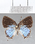  ( - CFC06940)  @11 [ ] Copyright (2019) Christer Fahraeus Center For Collection-Based Research