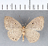  ( - CFC06976)  @12 [ ] Copyright (2018) Christer Fahraeus Center For Collection-Based Research