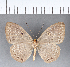  ( - CFC06979)  @11 [ ] Copyright (2018) Christer Fahraeus Center For Collection-Based Research