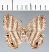  ( - CFC07088)  @11 [ ] copyright (2022) Center For Collection-Based Research Center For Collection-Based Research