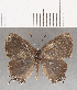  ( - CFC07145)  @11 [ ] Copyright (2019) Christer Fahraeus Center For Collection-Based Research