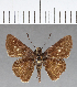  ( - CFC07237)  @11 [ ] Copyright (2018) Christer Fahraeus Center For Collection-Based Research
