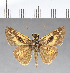  ( - CFC07255)  @11 [ ] Copyright (2018) Christer Fahraeus Center For Collection-Based Research