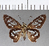  ( - CFC07284)  @13 [ ] Copyright (2018) Christer Fahraeus Center For Collection-Based Research