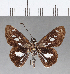  ( - CFC07292)  @11 [ ] Copyright (2018) Christer Fahraeus Center For Collection-Based Research