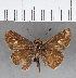  ( - CFC07318)  @12 [ ] Copyright (2018) Christer Fahraeus Center For Collection-Based Research