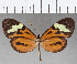  ( - CFC07388)  @11 [ ] Copyright (2019) Christer Fahraeus Center For Collection-Based Research