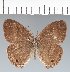  ( - CFC07392)  @11 [ ] copyright (2022) Center For Collection-Based Research Center For Collection-Based Research