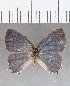  ( - CFC07442)  @11 [ ] Copyright (2019) Christer Fahraeus Center For Collection-Based Research