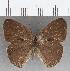  ( - CFC07478)  @11 [ ] copyright (2020) Christer Fahraeus Center For Collection-Based Research