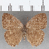 ( - CFC07485)  @11 [ ] copyright (2020) Christer Fahraeus Center For Collection-Based Research