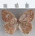  ( - CFC07486)  @11 [ ] copyright (2020) Christer Fahraeus Center For Collection-Based Research
