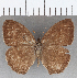  ( - CFC07488)  @11 [ ] copyright (2020) Christer Fahraeus Center For Collection-Based Research