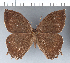  ( - CFC07546)  @11 [ ] Copyright (2018) Christer Fahraeus Center For Collection-Based Research