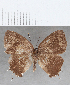  ( - CFC00774)  @11 [ ] copyright (2020) Christer Fahraeus Center For Collection-Based Research