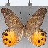  ( - CFC07740)  @11 [ ] Copyright (2019) Christer Fahraeus Center For Collection-Based Research