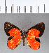  ( - CFC07778)  @11 [ ] Copyright (2018) Christer Fahraeus Center For Collection-Based Research