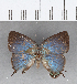  ( - CFC07781)  @11 [ ] Copyright (2018) Christer Fahraeus Center For Collection-Based Research