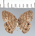  ( - CFC07808)  @11 [ ] copyright (2022) Center For Collection-Based Research Center For Collection-Based Research