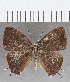  ( - CFC00783)  @11 [ ] copyright (2020) Christer Fahraeus Center For Collection-Based Research
