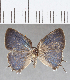  ( - CFC07874)  @11 [ ] Copyright (2019) Christer Fahraeus Center For Collection-Based Research
