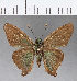  ( - CFC07913)  @11 [ ] Copyright (2018) Christer Fahraeus Center For Collection-Based Research
