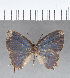  ( - CFC00792)  @11 [ ] Copyright (2018) Christer Fahraeus Center For Collection-Based Research