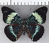  ( - CFC07936)  @11 [ ] Copyright (2019) Christer Fahraeus Center For Collection-Based Research