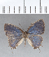  ( - CFC00799)  @11 [ ] Copyright (2018) Christer Fahraeus Center For Collection-Based Research