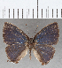  ( - CFC00800)  @11 [ ] copyright (2020) Christer Fahraeus Center For Collection-Based Research