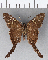  ( - CFC08029)  @11 [ ] Copyright (2018) Christer Fahraeus Center For Collection-Based Research