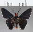  ( - CFC08033)  @11 [ ] Copyright (2019) Christer Fahraeus Center For Collection-Based Research