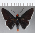  ( - CFC08034)  @11 [ ] Copyright (2019) Christer Fahraeus Center For Collection-Based Research