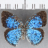  ( - CFC08173)  @11 [ ] copyright (2021) Christer Fahraeus Center For Collection-Based Research