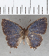  ( - CFC00818)  @11 [ ] copyright (2020) Christer Fahraeus Center For Collection-Based Research