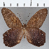 ( - CFC08334)  @11 [ ] Copyright (2019) Christer Fahraeus Center For Collection-Based Research