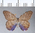  ( - CFC00845)  @11 [ ] Copyright (2018) Christer Fahraeus Center For Collection-Based Research