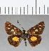  ( - CFC08483)  @11 [ ] Copyright (2018) Christer Fahraeus Center For Collection-Based Research