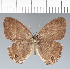  ( - CFC00849)  @11 [ ] copyright (2022) Center For Collection-Based Research Center For Collection-Based Research